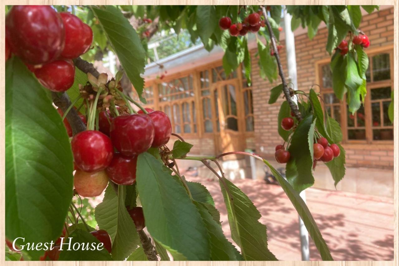 Tersak Spring Family Guest House מראה חיצוני תמונה