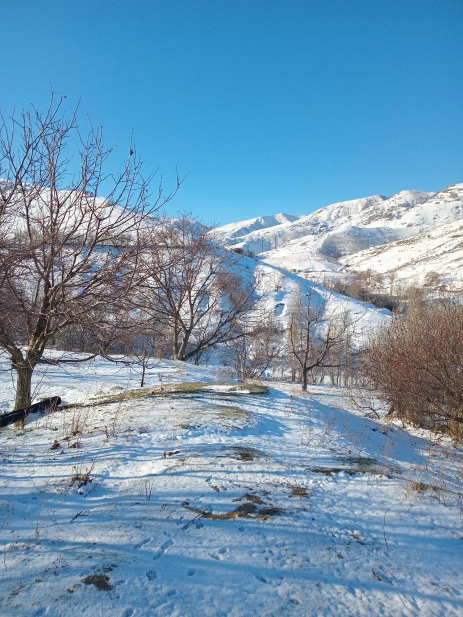 Tersak Spring Family Guest House מראה חיצוני תמונה